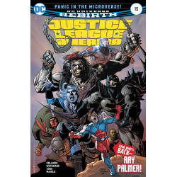 JUSTICE LEAGUE OF AMERICA 15