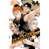 HAIKYU T44