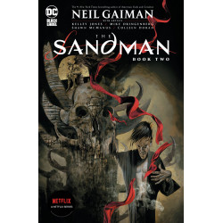 SANDMAN TP BOOK 02 MASS MARKET ED  MR 