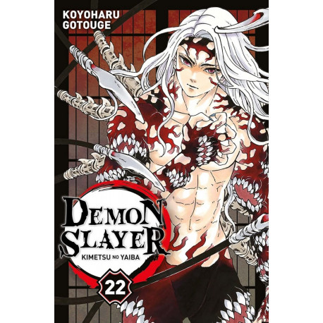 DEMON SLAYER T22