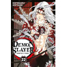 DEMON SLAYER T22