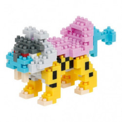 RAIKOU POKEMON NANOBLOCK