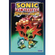 SONIC HEDGEHOG IMPOSTER SYNDROME TP 