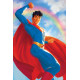 SUPERMAN SON OF KAL-EL 15 CVR B DAVID TALASKI CARD STOCK VAR