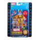 MARVEL S TOAD MARVEL LEGENDS 20TH ANNIVERSARY SERIES 1 FIGURINE 2022 15 CM
