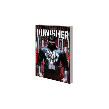 PUNISHER TP VOL 1 KING OF KILLERS BOOK ONE