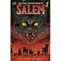 CHILLING ADV OF SALEM ONE SHOT CVR A SCHOENING 