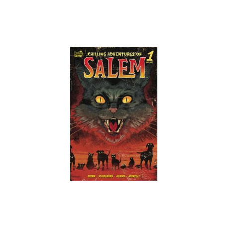 CHILLING ADV OF SALEM ONE SHOT CVR A SCHOENING 