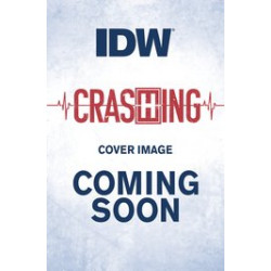 CRASHING 2 CVR A BEEM