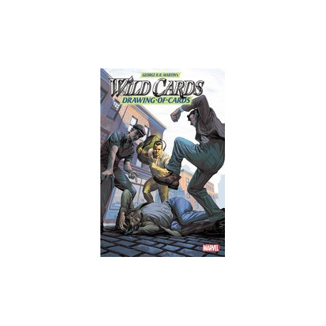 WILD CARDS DRAWING OF CARDS 4