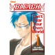 BLEACH ROMAN - CAN'T FEAR YOUR OWN WORLD T01