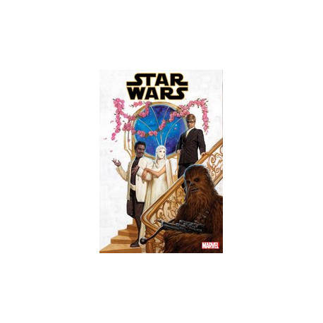 STAR WARS 29