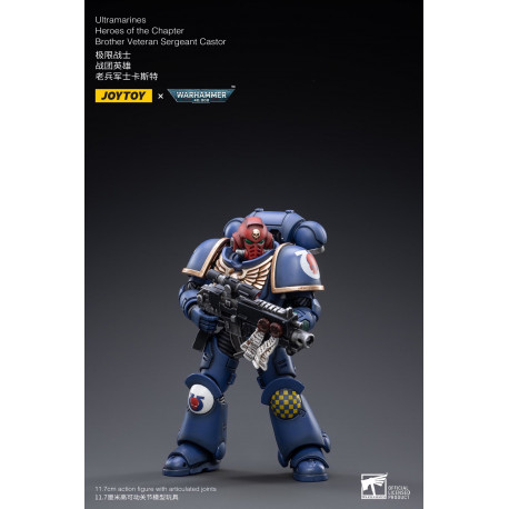 BROTHER VET SGT CASTOR JOY TOY WARHAMMER FIGURE