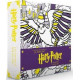 HARRY POTTER, UN HIVER A POUDLARD