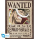 WANTED WHITEBEARD ONE PIECE POSTER 52 X 38 CM