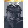 HULK : GRIS