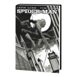 JEPH LOEB TIM SALE SPIDER-MAN GALLERY EDITION HC DM VAR 