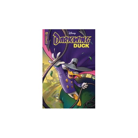 DARKWING DUCK 2 CVR C LEIRIX