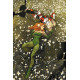 POISON IVY 9 CVR D DAN MORA CARD STOCK VAR