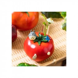 SOLIFLORE TOMATE - MON VOISIN TOTORO