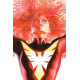 X-MEN 20 ROSS TIMELESS DARK PHOENIX VIRGIN VAR