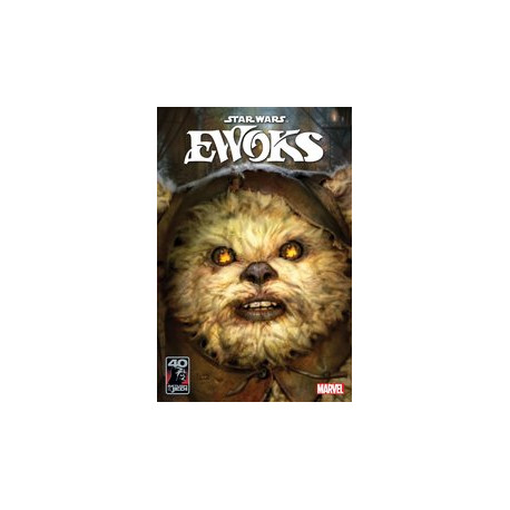 STAR WARS RETURN OF THE JEDI EWOKS 1