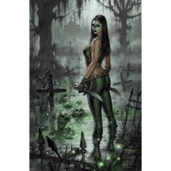 GRIMM FAIRY TALES 72 CVR D NOE