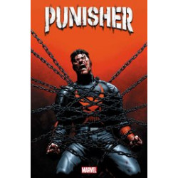 PUNISHER 12