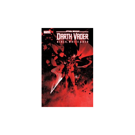 STAR WARS DARTH VADER BLACK WHITE AND RED 2