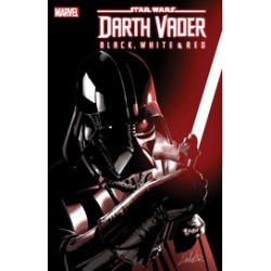 STAR WARS DARTH VADER BLACK WHITE AND RED 2 LAROCCA VAR