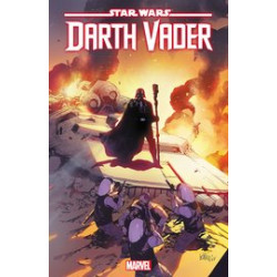 STAR WARS DARTH VADER 34