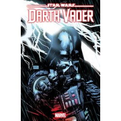 STAR WARS DARTH VADER 34 IENCO VAR