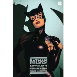 BATMAN ONE BAD DAY CATWOMAN HC