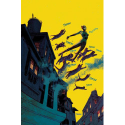 CATWOMAN 55 CVR C DAN PANOSIAN CARD STOCK VAR