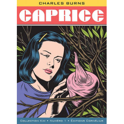 CAPRICE ILLUSTRATIONS, COULEUR