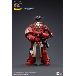 BLOOD ANGELS VETERAN VIGNA WARHAMMER 40K FIGURINE 12 CM