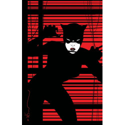 KNIGHT TERRORS CATWOMAN 1 OF 2 CVR D DUSTIN NGUYEN MIDNIGHT CARD STOCK VAR