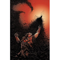 KNIGHT TERRORS ROBIN 1 OF 2 CVR B JAMES STOKOE CARD STOCK VAR