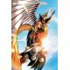 HAWKGIRL 1 OF 6 CVR A AMANCAY NAHUELPAN