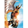 HAWKGIRL 1 OF 6 CVR A AMANCAY NAHUELPAN