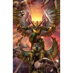 HAWKGIRL 1 OF 6 CVR B DERRICK CHEW CARD STOCK VAR