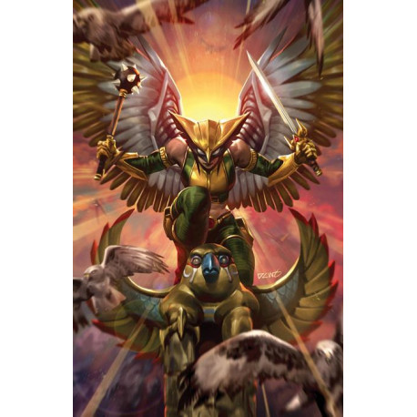 HAWKGIRL 1 OF 6 CVR B DERRICK CHEW CARD STOCK VAR