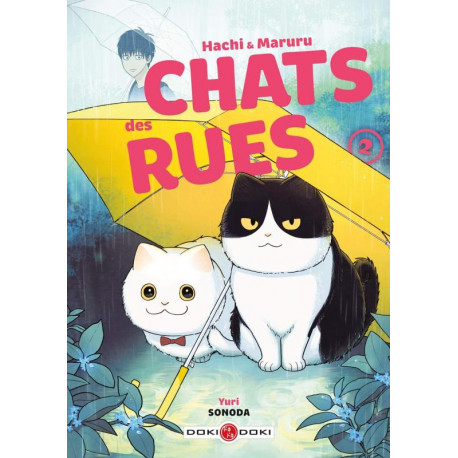 HACHI & MARURU - CHATS DES RUES - T02 - HACHI & MARURU - CHATS DES RUES - VOL. 02