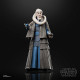 STAR WARS EPISODE VI 40TH ANNIVERSARY BLACK SERIES FIGURINE BIB FORTUNA 15 CM