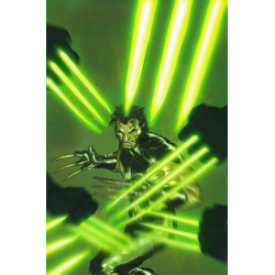 WOLVERINE WEAPON X 2