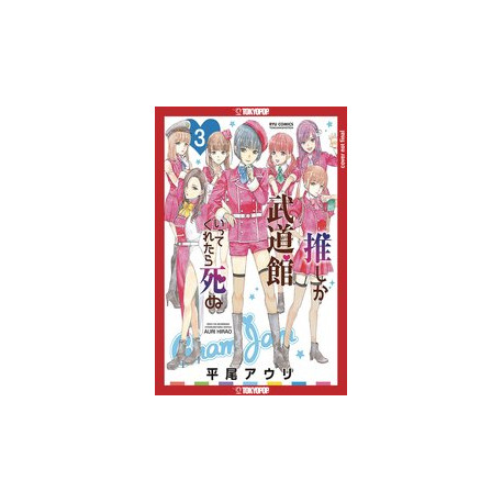 FAVORITE POP IDOL MADE IT BUDOKAN GN VOL 3