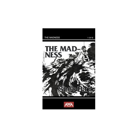 THE MADNESS 1 CVR C TALAJIC PUNK ROCK HOMAGE