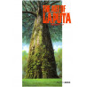 THE ART OF LAPUTA LE CHATEAU DANS LE CIEL (ARTBOOK VO JAPONAIS)