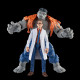 GRAY HULK AND DR BRUCE BANNER AVENGERS BEYOND EARTH S MIGHTIEST MARVEL LEGENDS FIGURINES 15 CM