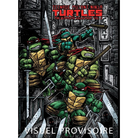 LES TORTUES NINJA TMNT CLASSICS T5 NEW YORK, VILLE EN GUERRE, SECONDE PARTIE